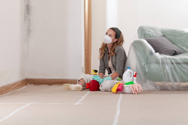 Reliable Mold Removal contractor in Sharon, MA by Mold Remediation HQ